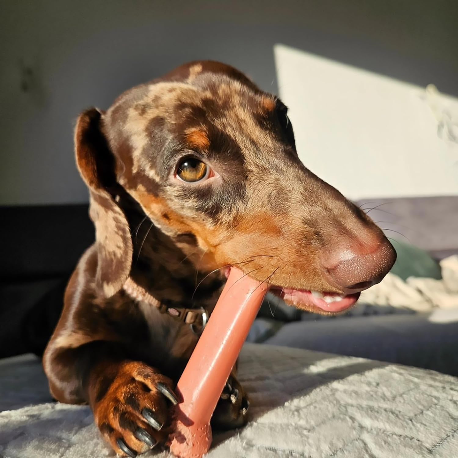 Classic Twin Pack Power Chew Flavored Durable Dog Chew Toy